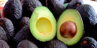 Ario de Rosales cuenta con alrededor de 20 mil hectáreas de aguacate certificadas para exportación