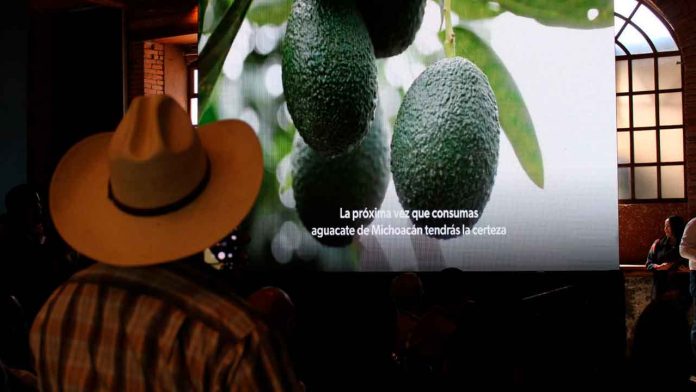 AGUACATE