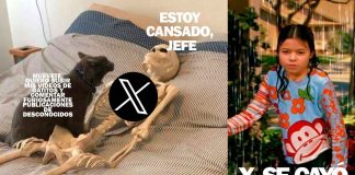 #Internacional | Otra vez X falla; reportan caída global con errores de carga e inicio de sesión