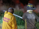 #VIDEOS | Atiende Bomberos Municipales incendio de pastizal