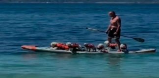 #VIDEO || Surfeando la ola del amor perruno