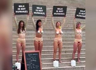 #Viral #VIDEO | Activistas anti-leche se manifiestan semidesnudas ¿Contra la leche materna o la de vaca? #Internacional