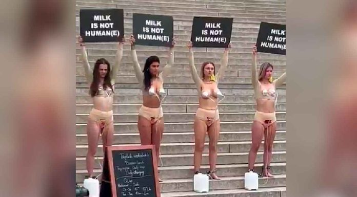 #Viral #VIDEO | Activistas anti-leche se manifiestan semidesnudas ¿Contra la leche materna o la de vaca? #Internacional