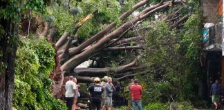 Tenía 42 años el motociclista que murió aplastado por un árbol durante tormenta en Zamora