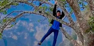 #Viral #VIDEO | Influencer se cuelga de un árbol sobre el Cañon del Sumidero para ganar likes; su acto ya fue denunciado por dañar área protegida