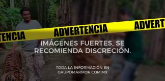 #VIDEO #ImágenesFuertes | Joven sufre feroz ataque tras acercarse a un tigre para tomarse una selfie #Internacional