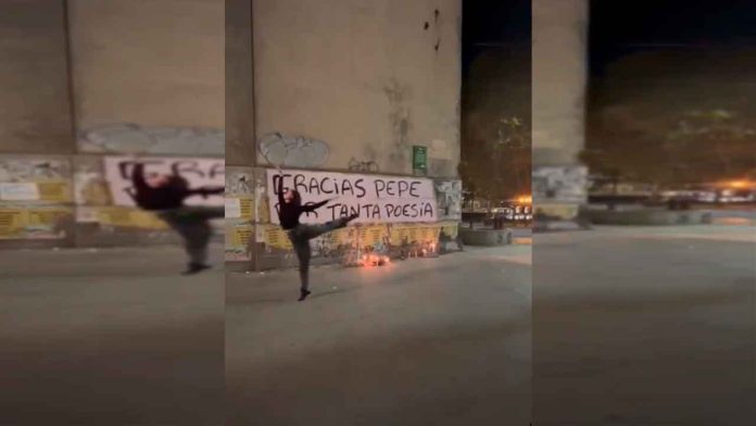 bailarina-lago-de-los-ciznes