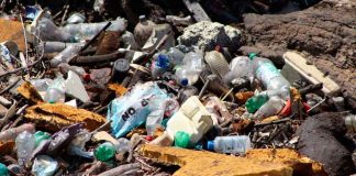 Ooapas retira importante taponamiento en el Río Grande