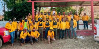 Brigadas forestales apagan 7 incendios: Cofom
