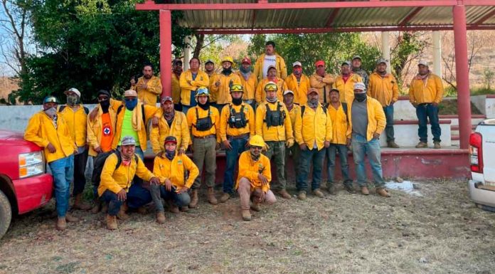 Brigadas forestales apagan 7 incendios: Cofom