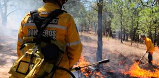 Brigadistas combaten incendios forestales activos en Michoacán: Cofom