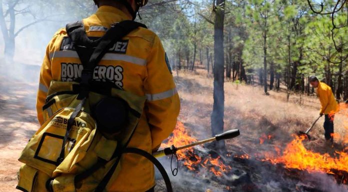 Brigadistas combaten incendios forestales activos en Michoacán: Cofom