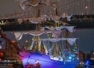 #Video | Colisión del Cuauhtémoc sacude Nueva York: Tragedia en el puente de Brooklyn