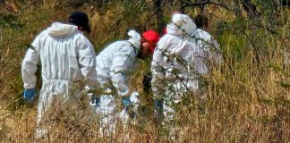 Hallan cabeza humana en Singuio, Álvaro Obregón