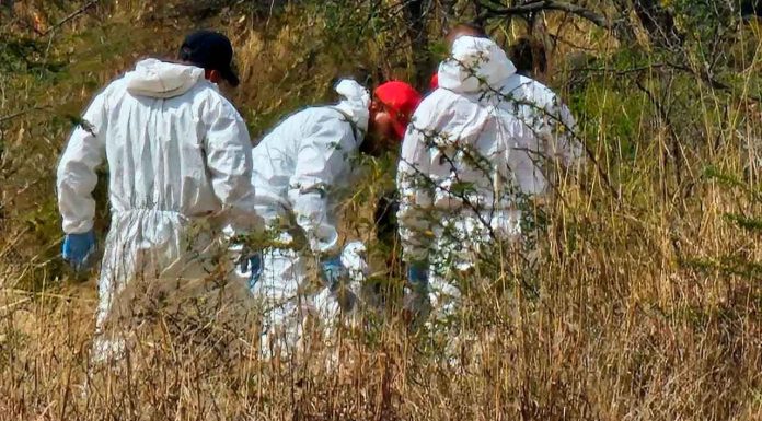 Hallan cabeza humana en Singuio, Álvaro Obregón