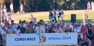 #Video | Carrera de Corgis no termina como se esperaba