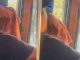 #VIDEO | ¿Para el calor? Captan a conductor de transporte público tomándose una cerveza en horario laboral