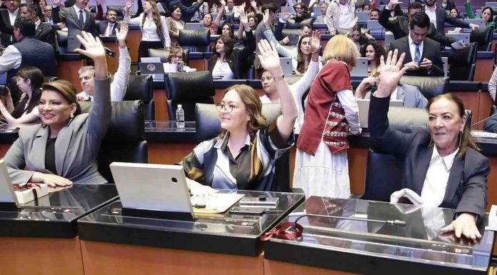 Senado aprueba que funcionarios de CFE, Pemex y SAT puedan portar armas