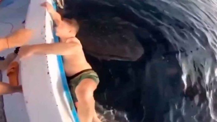 chico-llora-por-tiburon-ballena