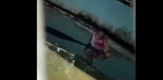 #FuertesImágenes | Cocodrilo ataca a joven que intentaba tomarse una ‘selfie’ con él