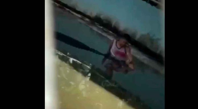 #FuertesImágenes | Cocodrilo ataca a joven que intentaba tomarse una ‘selfie’ con él