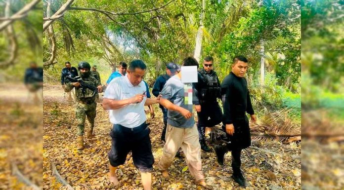 🐊 ¡Cae desde un puente, aterriza sobre un cocodrilo y sobrevive! Increíble suceso en Lázaro Cárdenas