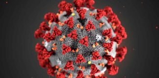 Rebrote de COVID-19 en secundaria de Monterrey obliga a retomar cubrebocas y medidas sanitarias