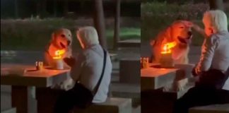 #VIDEO #viral | Una abuelita celebra el cumpleaños de su perrito como a un nieto más