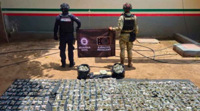 SSP y Defensa decomisan más de 600 envoltorios con droga en Buenavista