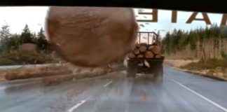 #VIDEO || Destino no tan Final: Conductor se salva del icónico tronco de la carretera