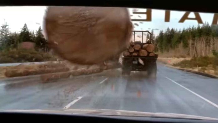 destino-fianl-troncos