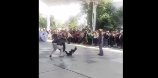 #VIDEO | Hacen exhibición de pelea de gallos en primaria de #México y causa indignación