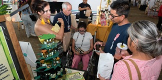 Pabellón de Productores del Festival de Origen genera ventas por más de 4 mdp: Sedeco