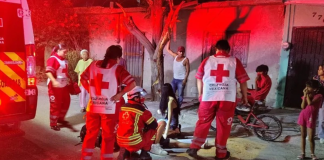 #EnMéxico: Se sube a árbol para impresionar a su novia y cae de más de 2 metros; terminó lesionado