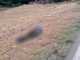 Localizan cadáver torturado y baleado a un costado de carretera, en Contepec