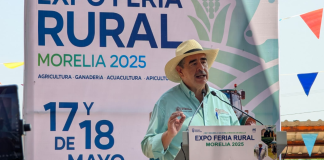 Michoacán y Morelia libres de gusano barrenador: SADER