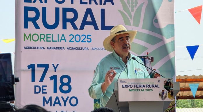 Michoacán y Morelia libres de gusano barrenador: SADER