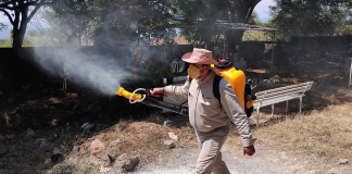 Bajan 65 % casos de dengue en Michoacán: SSM