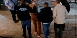 Detienen a hombre por robar al menos 40 tortugas casquito en Puerto Vallarta