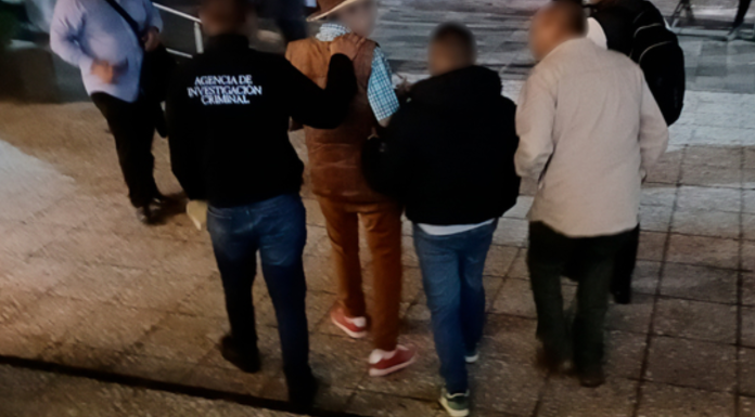 Detienen a hombre por robar al menos 40 tortugas casquito en Puerto Vallarta