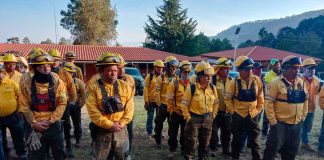 Sin incendios activos en Michoacán; brigadistas logran control de siniestros: COFOM
