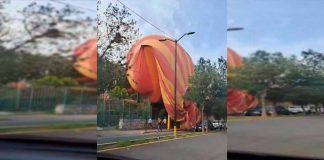 #VIDEO || Se desploma globo aerostático en San Martín de las Pirámides, Teotihuacán