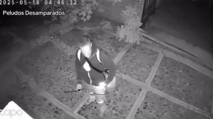 hombre daña con acido a perritos