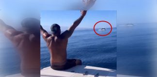 #VIDEO || Un hombre, una caracola y una ballena: ¿conversación marina o casualidad épica?