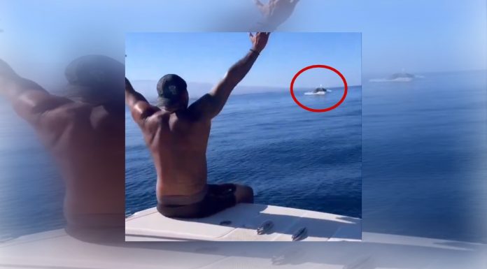 #VIDEO || Un hombre, una caracola y una ballena: ¿conversación marina o casualidad épica?