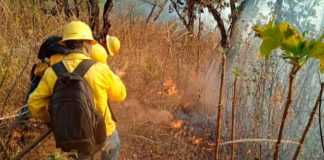 #VIDEO | Brigadistas forestales apagan 4 incendios y atienden 3 más: Cofom