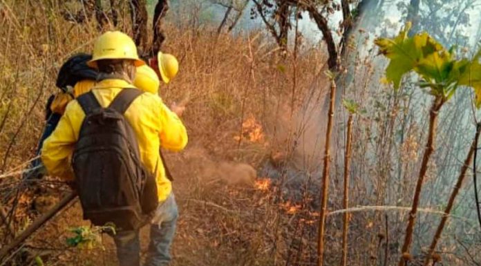 #VIDEO | Brigadistas forestales apagan 4 incendios y atienden 3 más: Cofom