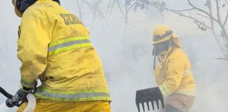 Llamado a la responsabilidad al subir el cerro de La Beata ante pronóstico de fuertes vientos: evitar incendios y accidentes