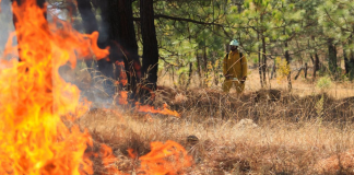 Un total de 674 incendios se han registrado en Morelia en lo que va del año
