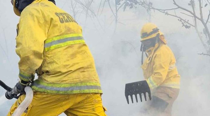 Llamado a la responsabilidad al subir el cerro de La Beata ante pronóstico de fuertes vientos: evitar incendios y accidentes